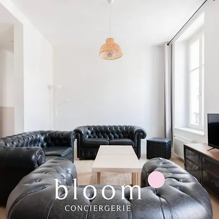 Lélégance Plein Cœur 3 Doubles Appartement Nancy