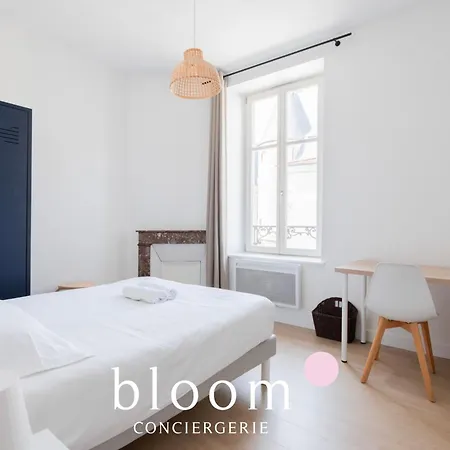 Lélégance Plein Cœur 3 Doubles Appartement Nancy